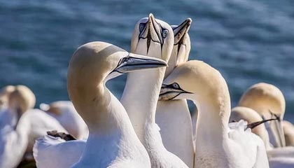 《云计算：开启互联网时代全新计算资源模式的日报》