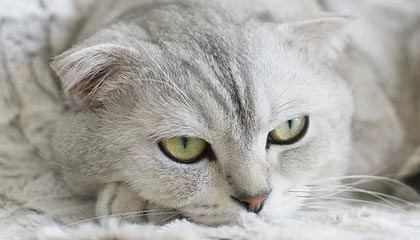 华为云云服务器设备配置列表有哪些关键配置？